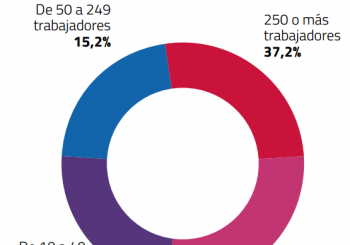 Informe de las TIC en las PYME : Informe EPYME